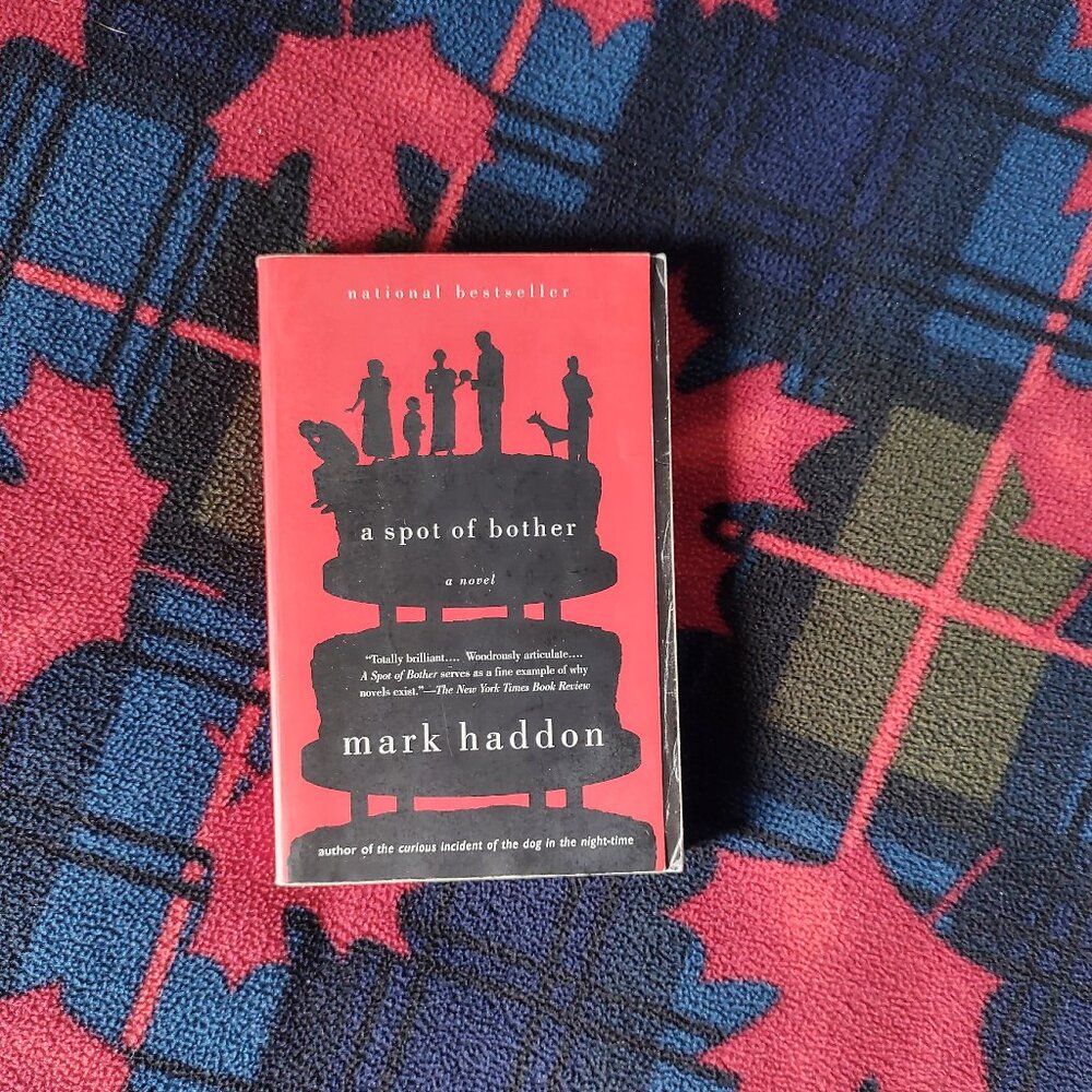 📚 3/$15 or 5/$20 📚 Novel - A Spot of Bother